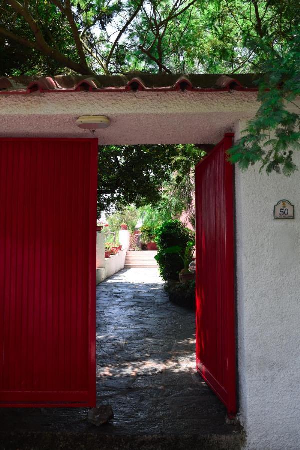 Il Giardino Selvatico Di Succellario - Apartments Барано-д'Иския Экстерьер фото