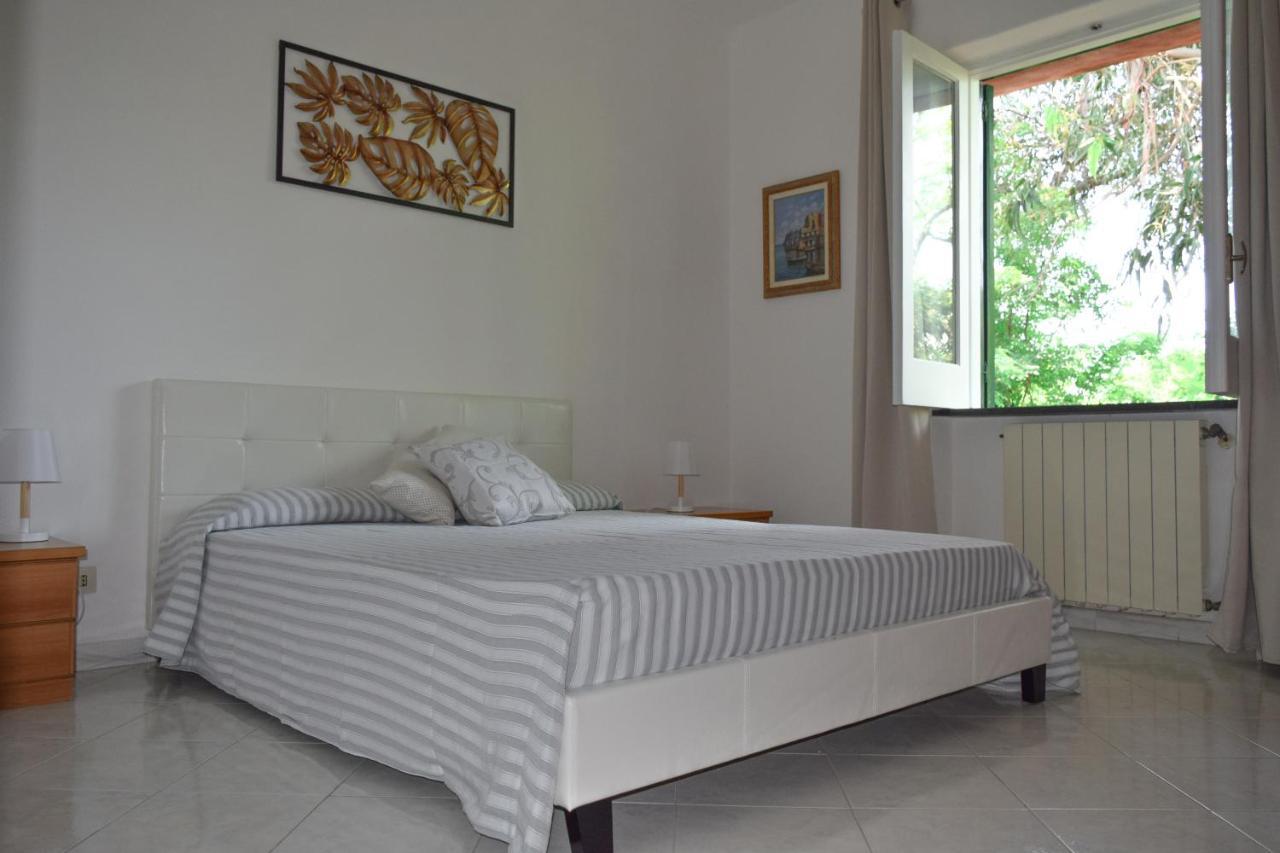 Il Giardino Selvatico Di Succellario - Apartments Барано-д'Иския Экстерьер фото